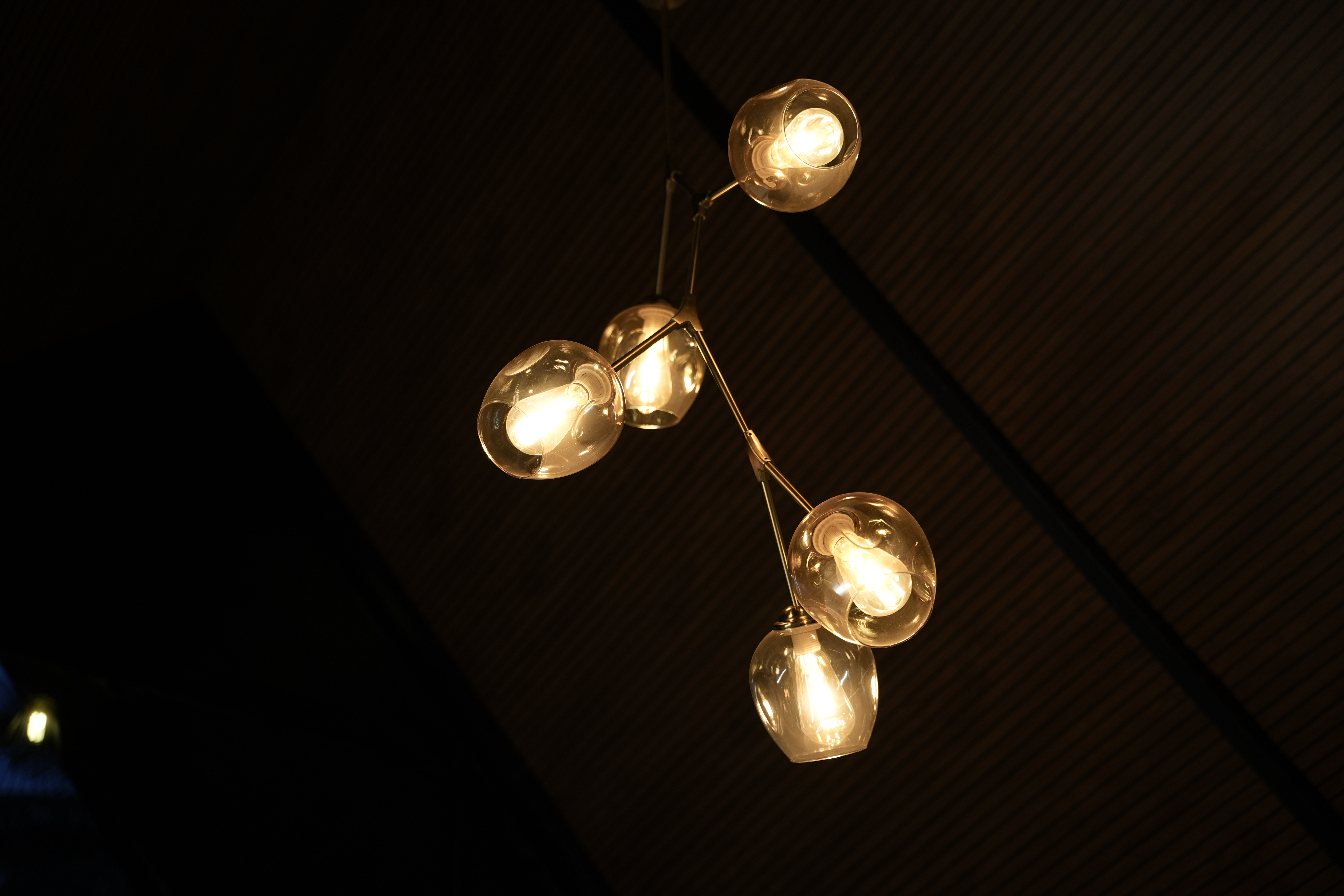 Kappi Kites coffee plantation view